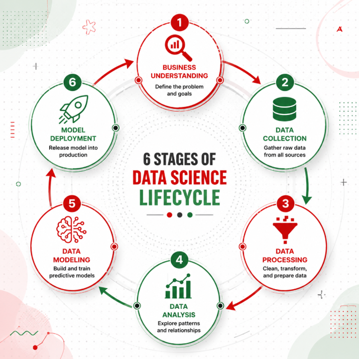 Alt text: A circular diagram showing the 6 stages of the data science lifecycle — Business Understanding, Data Collection, Data Processing, Data Analysis, Data Modeling, and Model Deployment — with arrows indicating the iterative flow between each phase.