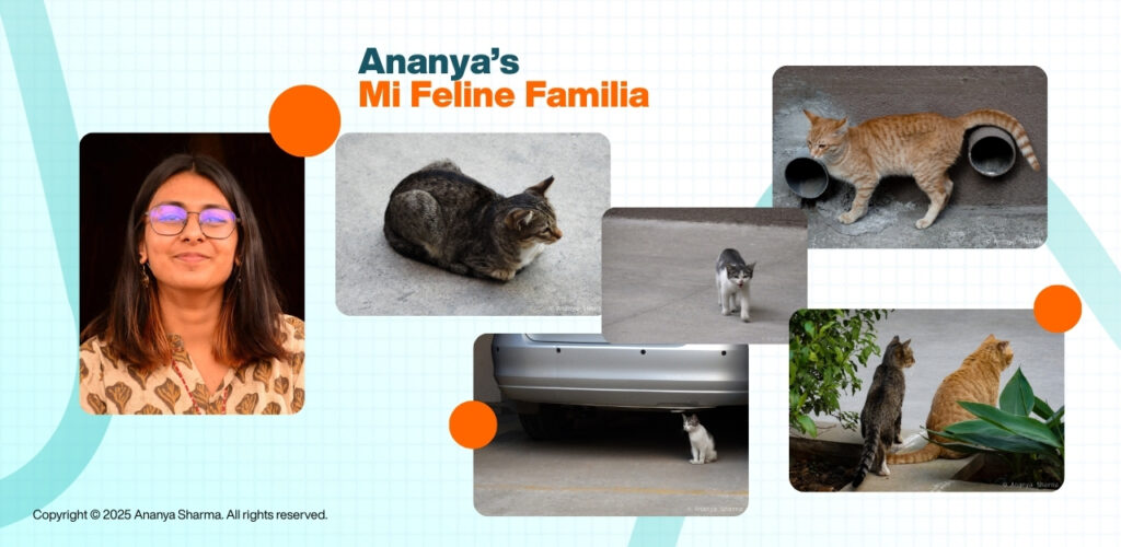 Mi Feline Familia
Copyright © 2025 Ananya Sharma. All rights reserved.