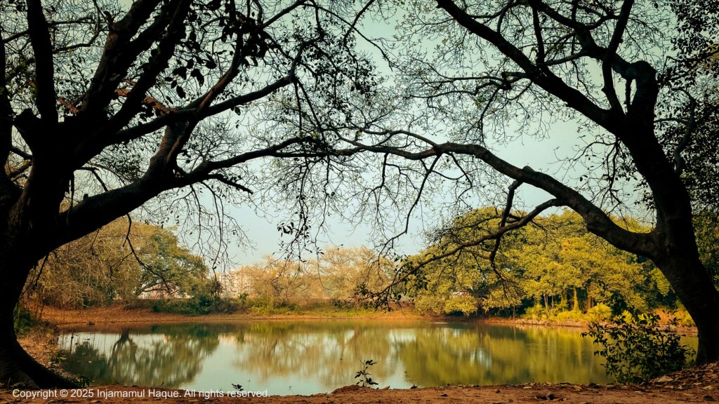Photograph by Injamamul Haque. 
Copyright © 2025 Injamamul Haque. All rights reserved.
