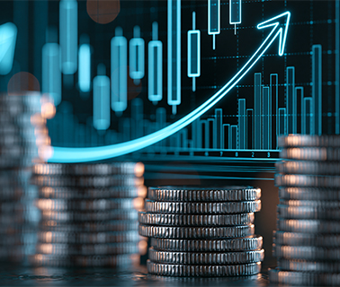 Student pursuing Master of Science in Financial Economics
